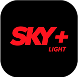 Skylight